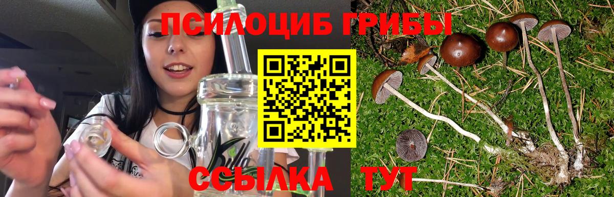 цена   Вход с VPN  Юрга  Псилоцибиновые грибы ЛСД 