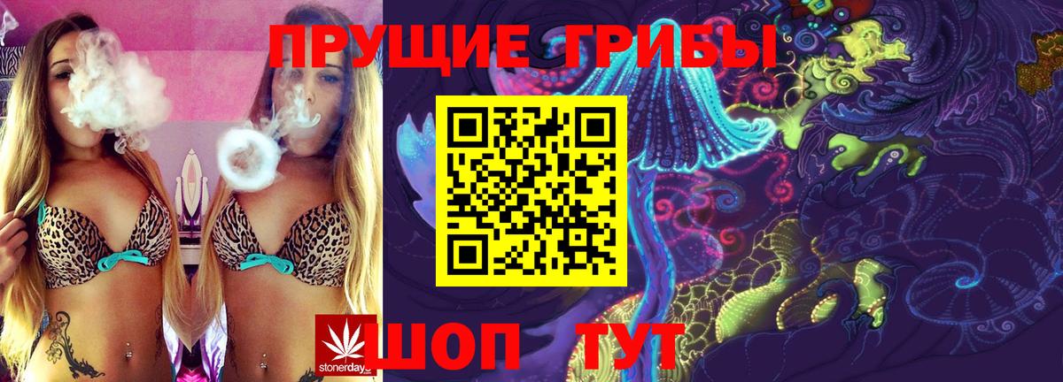 Галлюциногенные грибы Cubensis Юрга